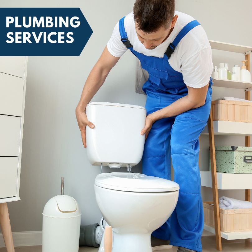 Plumbing Company in Snohomish, WA